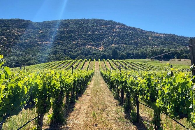 Discover Napa Valley’S Hidden Gems With Local Sommelière