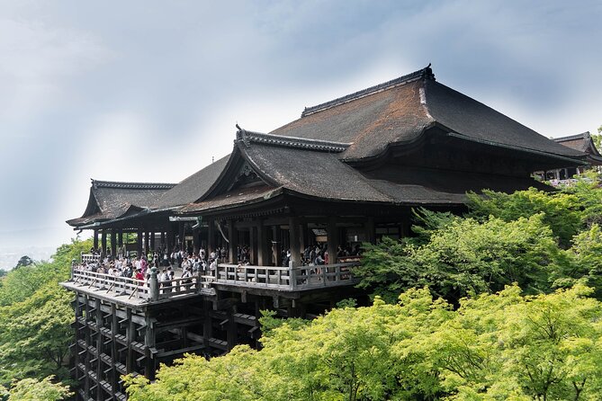 Discover Nara Park, Kyoto Highlights and Fushimi Inari From Osaka - Key Points