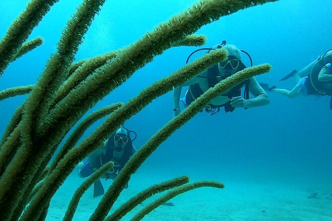 Discover Scuba Diving for Beginners in San Juan - Key Points