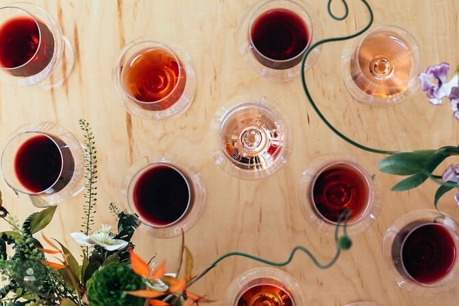Discover Sonoma's Natural Wineries: A Review - Overview of the Tour