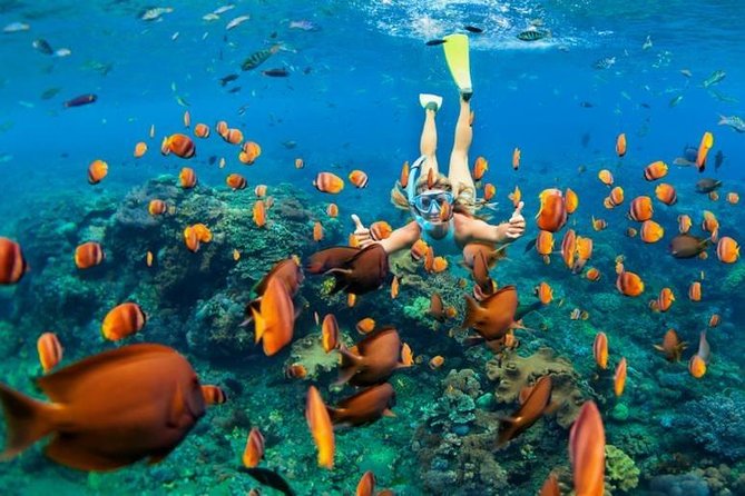 Discovering the Depths: Scuba Diving Tour From Antalya - Dive Into the Underwater Wonders
