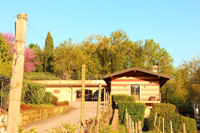 Discovering the Wines of Franciacorta - Key Points