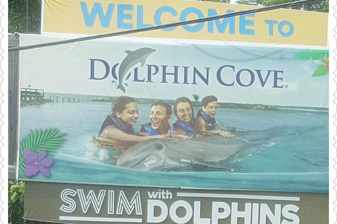 Dolphin Cove Adventure - Key Points