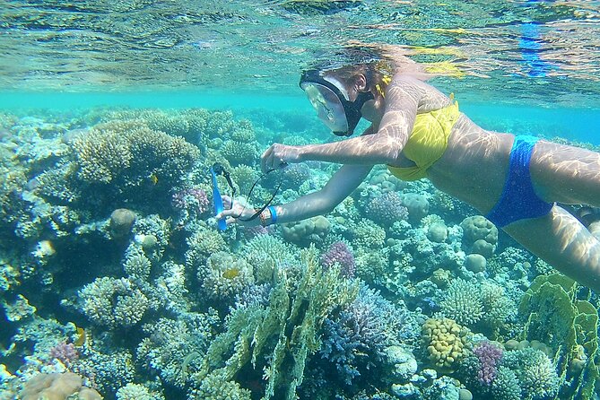 Dolphin House Sea Trip With Water Sport and Lunch - Key Points