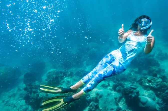 Dominica: Champagne Snorkel and Beach Escape - (RT Shuttles) - Key Points