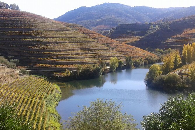 Douro Valley - Régua-Pinhão - With Wine Tasting - Key Points