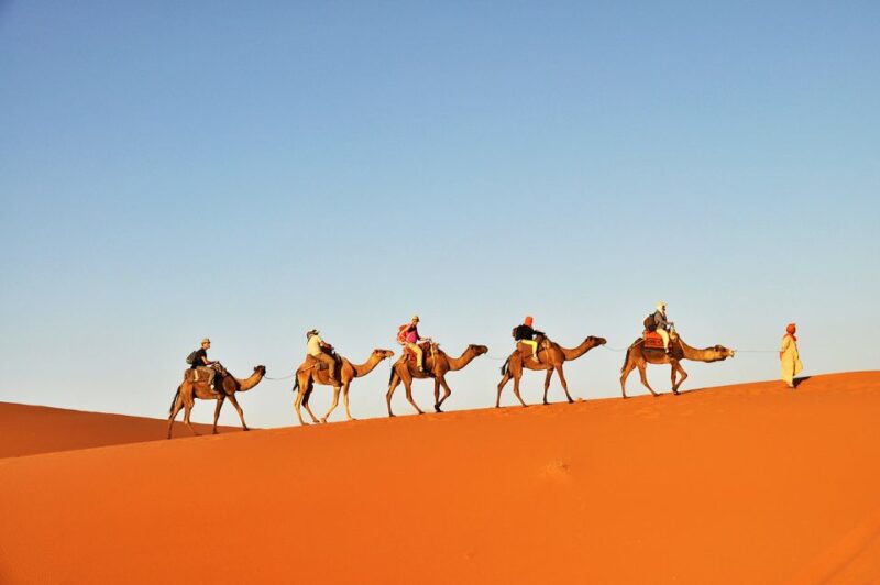 Douz: Sunset or Sunrise Sahara Desert Camel Ride - Good To Know