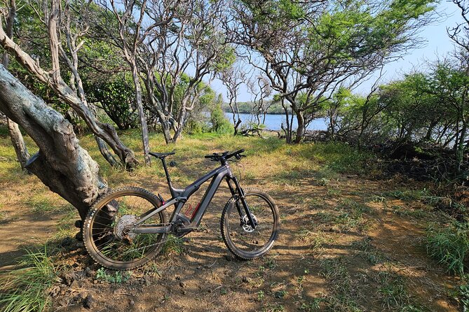 E-Mountain Bike Adventure Tour in Naalehu Hawaii - Key Points