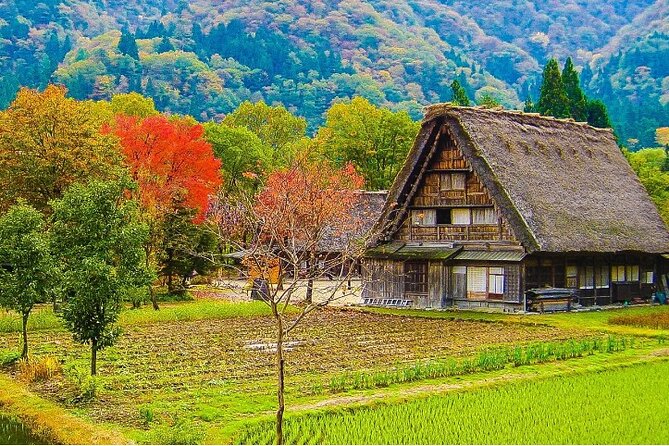 【Private Tour】Shirakawa-Go & Takayama 1-Day Tour From Nagoya - Good To Know
