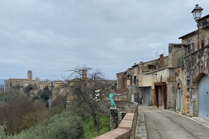 Electric Bike Experience Around Colle Di Val D'Elsa- Private Tour - Key Points