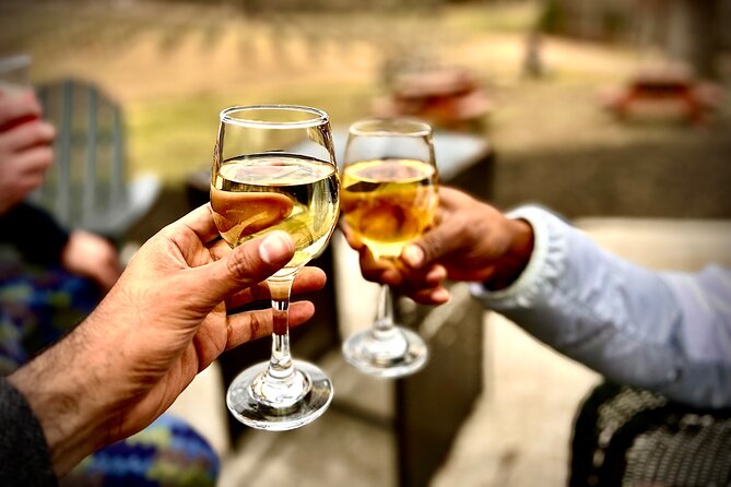 Elijay Hike W/ Waterfall & Wine Tasting Private Tour From ATL - Key Points