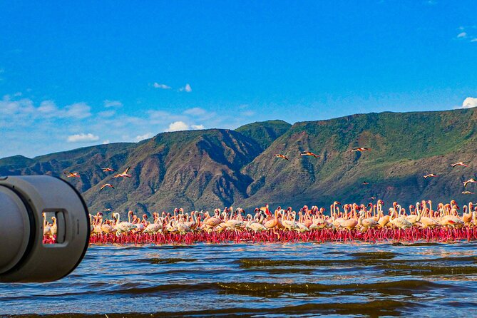 Escape to Lake Bogoria, Flamingos New Home for an Overnight Safari - Key Points