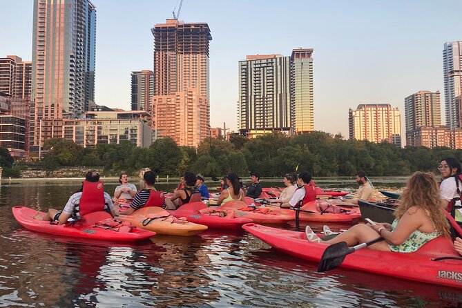 Evening Bat Watching Kayak Tour Review - Good To Know