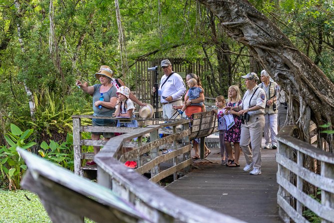 Everglades Airboat Adventure With Hotel Transport From Miami