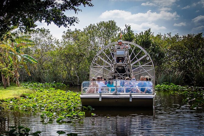 Everglades Alligator Airboat Adventure Review - Overview of the Adventure