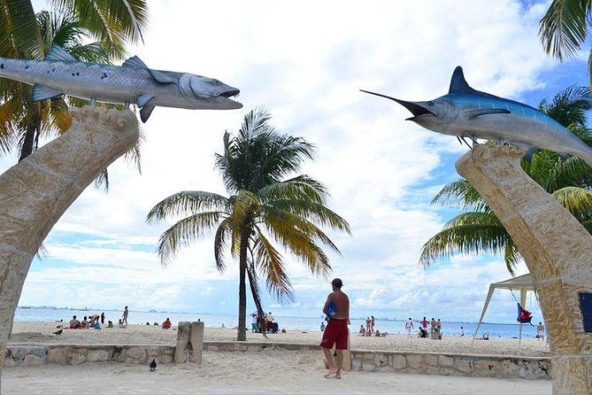 Exclusive Isla Mujeres Tour In Catamaran! Sailing From Cancun - Meeting Point Details