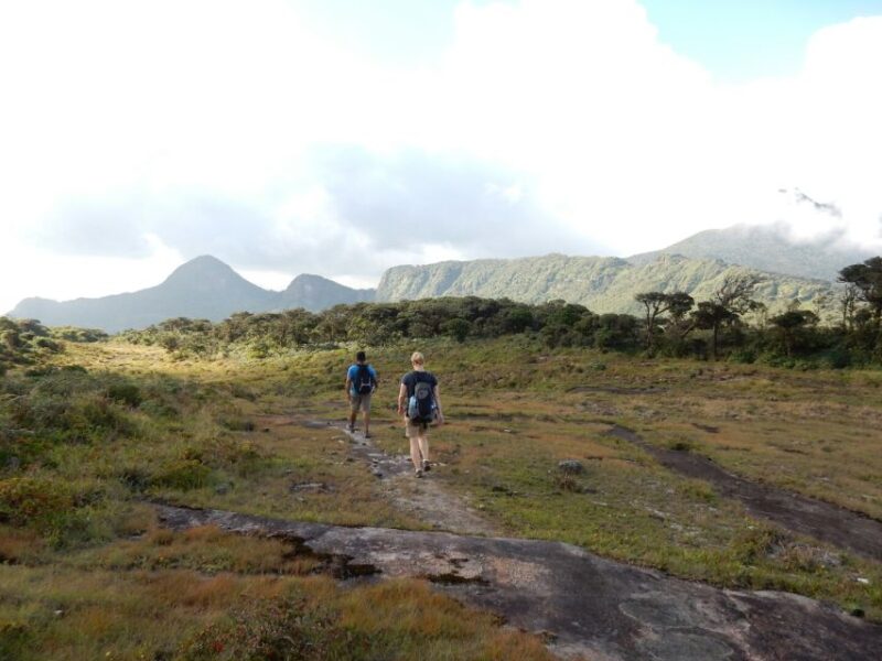 Exclusive Knuckles Camping Tour From Kandy - Good To Know