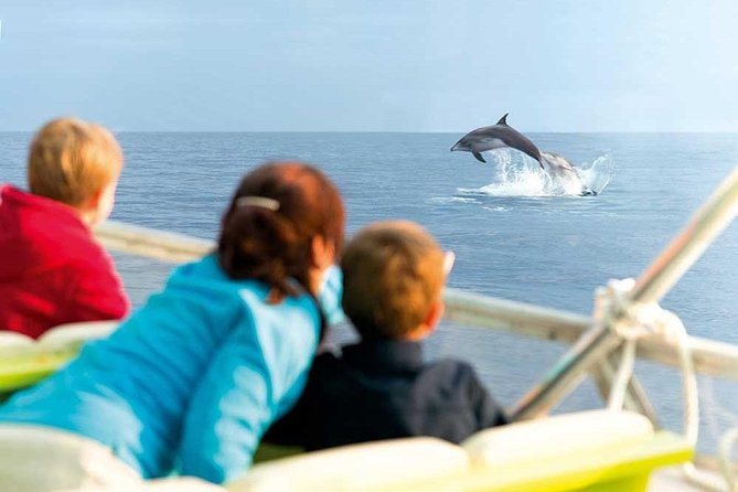 Experience a Sunrise With Dolphins - Key Points
