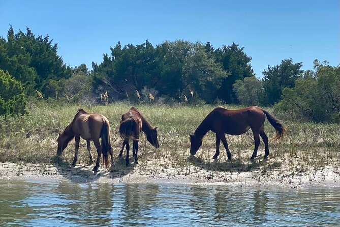 Exploration of Majestic Crystal Coast