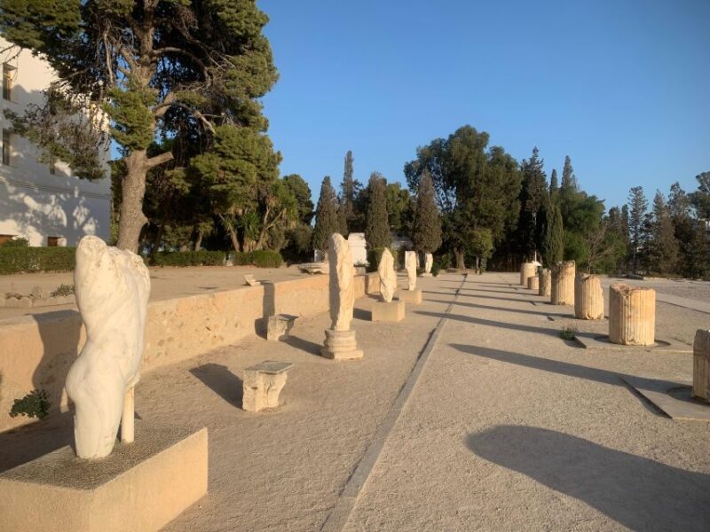 Explore the Essentials of Tunis in a Private Half Day 5 in 1 - Good To Know