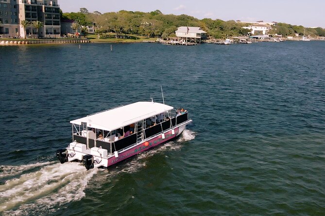 Family Friendly Snorkeling and Dolphin Tour - Good To Know