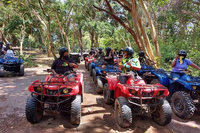 Family Fun ATV, Blue Hole From Ocho Rios - Key Points