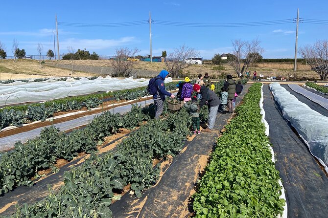 Farm to Table Excursion and Barbecue With a Fresh Seafood - Key Points