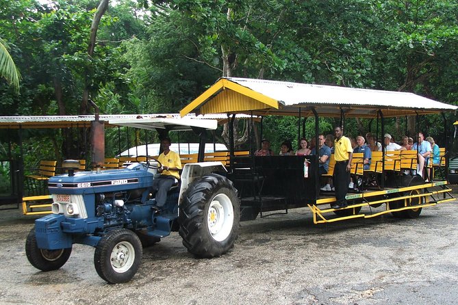 Flavors of Jamaica Food Tour From Falmouth - Tour Overview