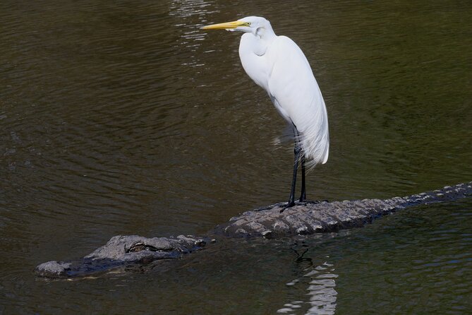 Florida Wildlife Drive Eco Tour With Lunch and Moonshine Tasting - Key Points