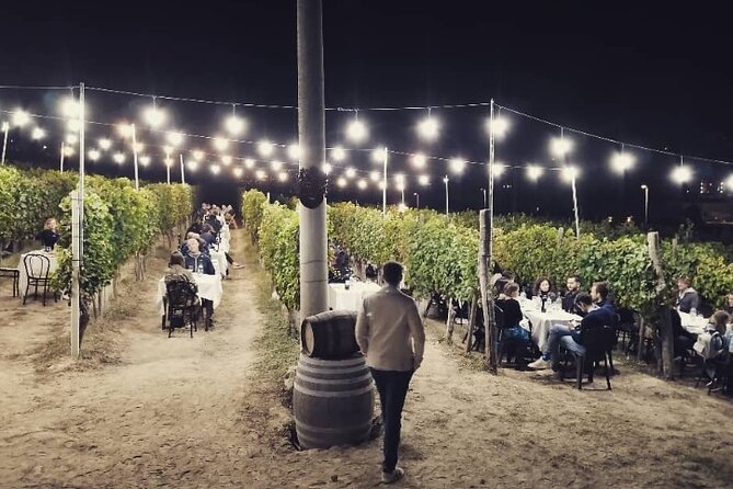 Food and Wine Tasting and Dinner in the Vineyard in the Langhe - Key Points