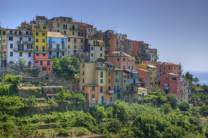 Food Tour Around Cinque Terre: From Focaccia to Pesto Ice-Cream and Wines - Key Points