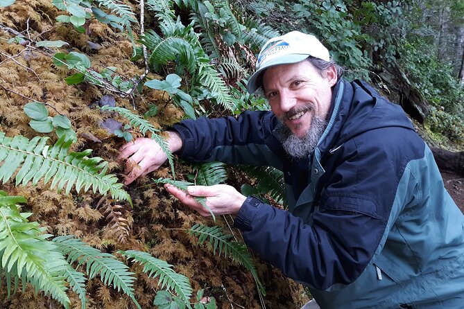 Foraging Tour of Edible Plants Review - Tour Overview