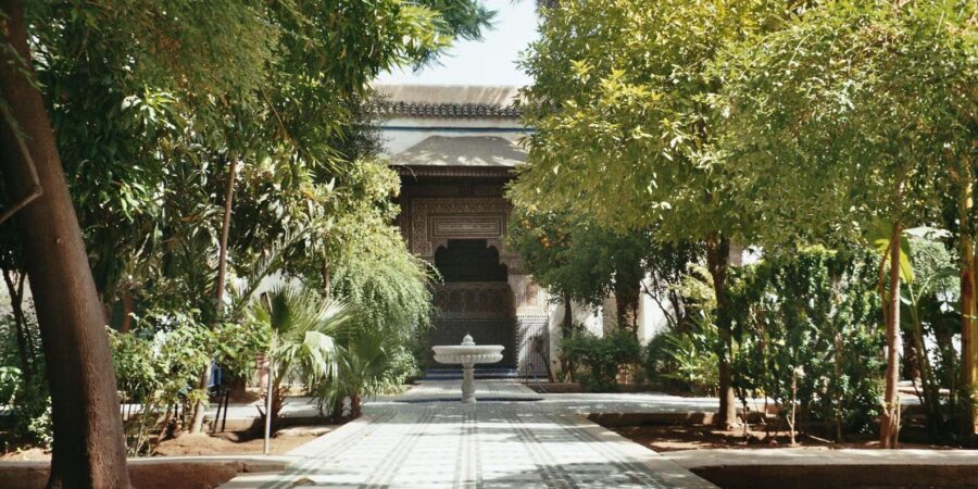 From Casablanca: Day Trip to Marrakech With Camel Ride