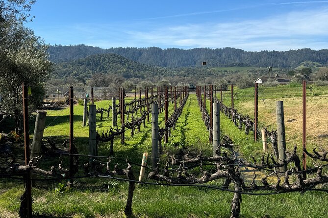 From San Francisco: Half-Day Wine Aficionado Tour With Tastings - Inclusions