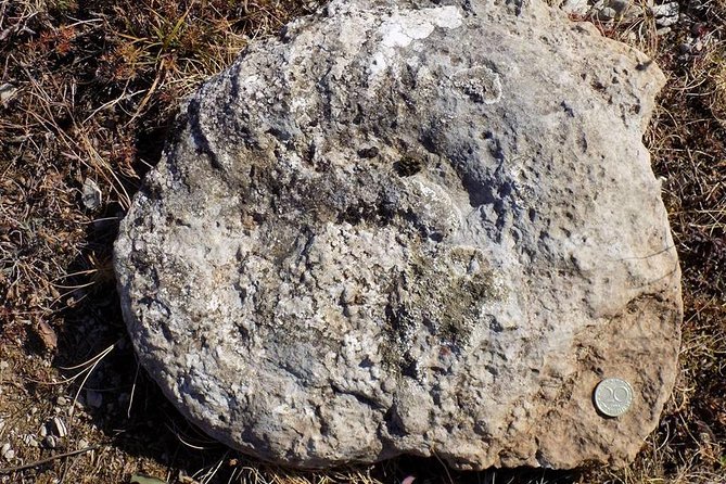 From Sofia: Walking Tour Over the Jurassic Sea - Key Points
