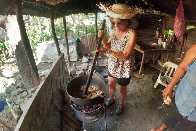 From the Mata to the Cup: Travel Along the Coffee Route in Polo Barahona - Key Points