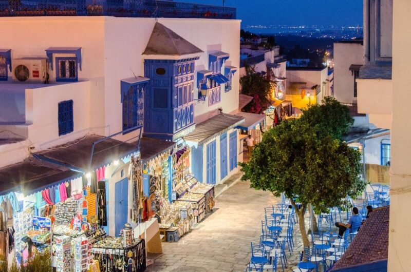 From Tun or Hammamet: Day Trip to Sidi Bou Saïd and Carthage - Good To Know