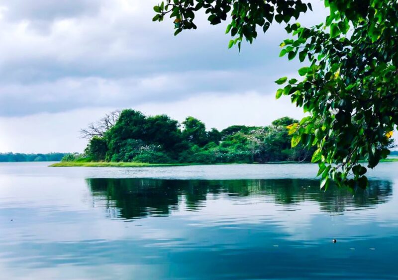 From Yala: Sunset Lake Boat Tour and Beach BBQ Dinner - Good To Know
