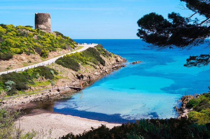 Full-Day Boat Guided Trip to Asinara With Van Pickup and Lunch - Key Points