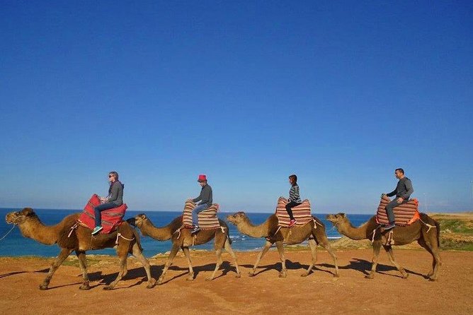 Full-Day Cadiz to Tangier Private Tour With Pick up and Lunch - Meeting and Pickup Details