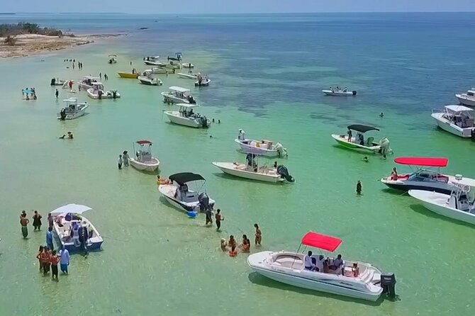 Full Day Charter Snorkeling Sandbar Review - Good To Know