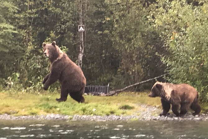 Full Day Fishing Trips - Good To Know
