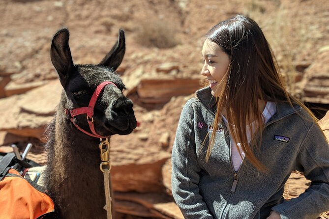 Full-Day Private Guided Llama Hikes Review - Overview and Pricing