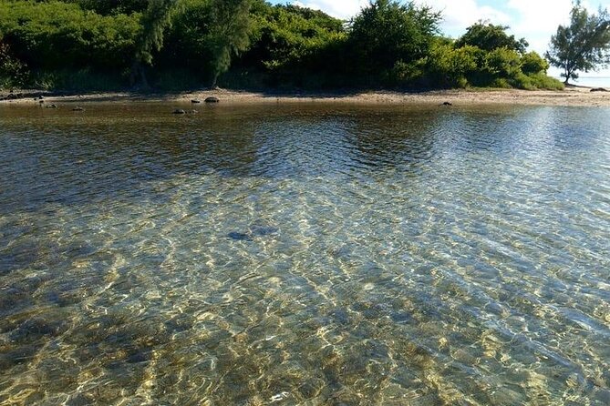 Full-Day Private Hiking Le Morne Mountain & Seafood Lunch at Islet Fourneau