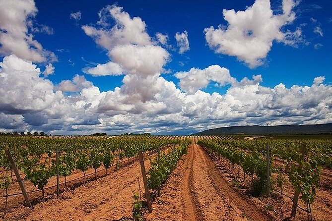 Full Day Private Requena Wineries Premium Tastings - Key Points