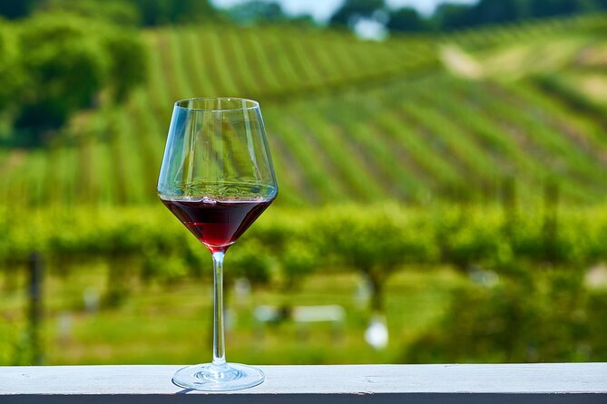 Full Day Private Rioja Wine Tour Experience From La Rioja