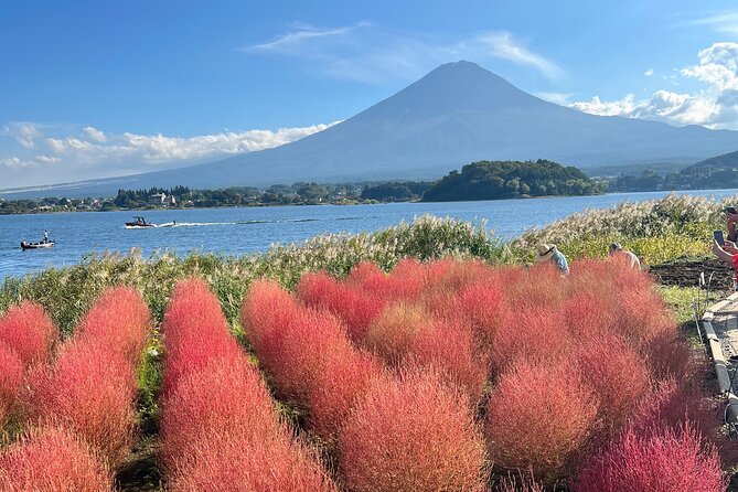 Full Day Private Tour in Mount Fuji and Hakone - Good To Know