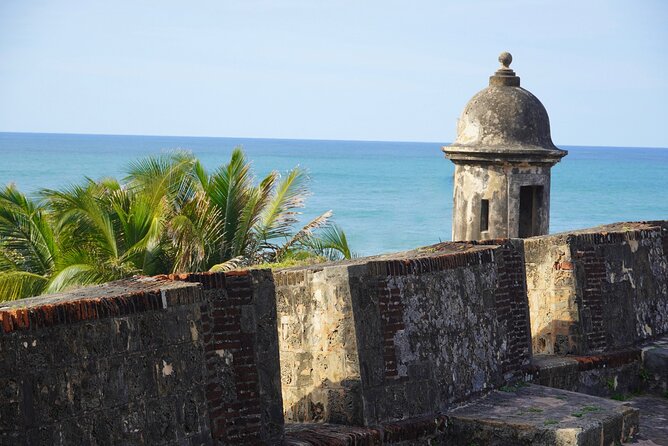 Full Day Private Tour to the West Of Puerto Rico - Key Points