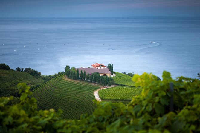 Full Day Private Tour With Txakoli Tasting in Sebastian & Getaria - Key Points