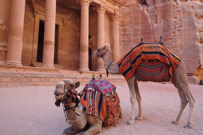 Full-Day Shore Excursion to Petra From Aqaba Port - Key Points